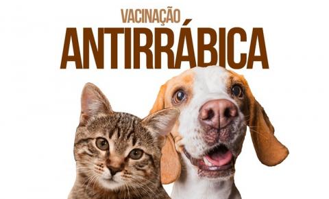 ​Prefeitura de Manaus abre pontos fixos para vacinação antirrábica que funcionarão até 31/12