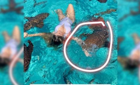 Blogueira é mordida ao tirar foto com tubarões nas Bahamas
